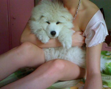 Прикачена снимка