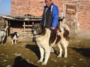 Прикачена снимка