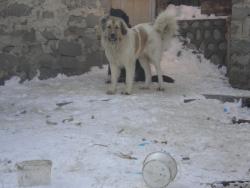 Прикачена снимка