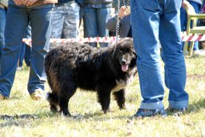 Прикачена снимка