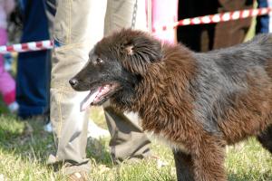 Прикачена снимка