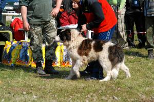 Прикачена снимка