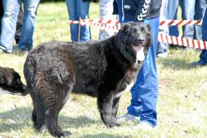 Прикачена снимка