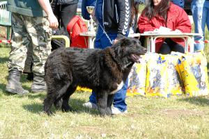 Прикачена снимка