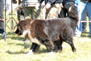 Прикачена снимка