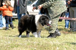 Прикачена снимка