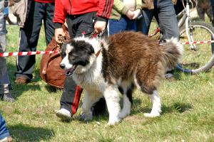 Прикачена снимка