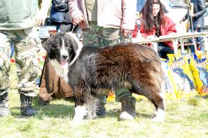 Прикачена снимка