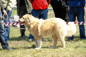 Прикачена снимка