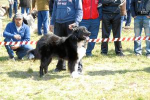 Прикачена снимка