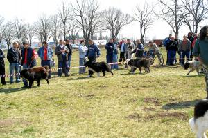 Прикачена снимка