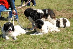 Прикачена снимка