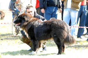 Прикачена снимка