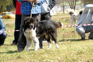 Прикачена снимка