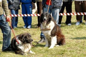 Прикачена снимка