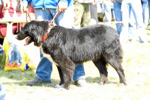 Прикачена снимка