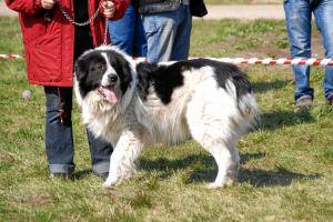 Прикачена снимка