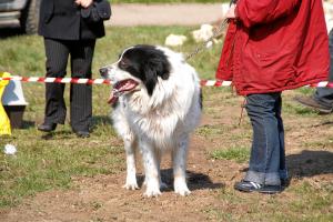 Прикачена снимка