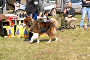 Прикачена снимка