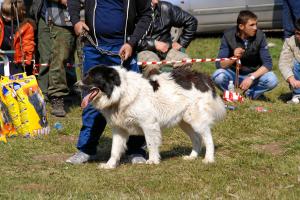Прикачена снимка