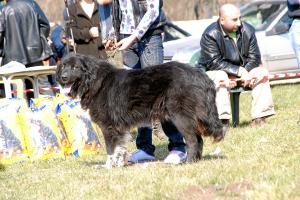 Прикачена снимка