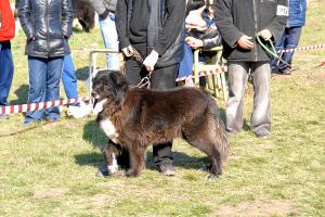 Прикачена снимка