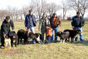 Прикачена снимка