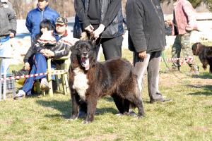 Прикачена снимка