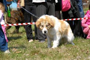 Прикачена снимка