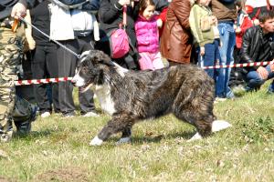 Прикачена снимка