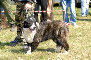 Прикачена снимка