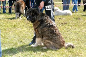 Прикачена снимка