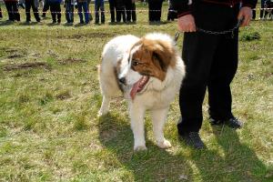 Прикачена снимка