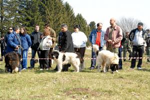 Прикачена снимка