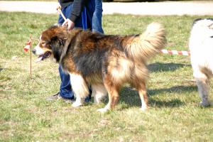 Прикачена снимка