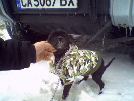 Прикачена снимка