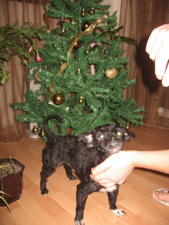 Прикачена снимка