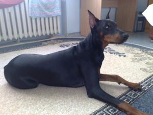 Прикачена снимка