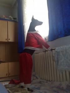 Прикачена снимка