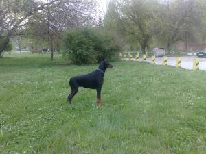Прикачена снимка