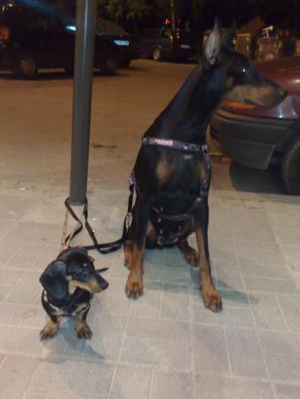 Прикачена снимка
