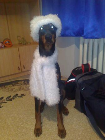 Прикачена снимка