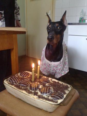 Прикачена снимка