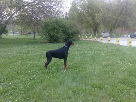 Прикачена снимка