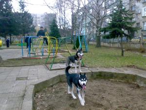 Прикачена снимка
