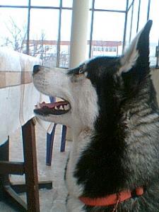 Прикачена снимка