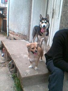 Прикачена снимка