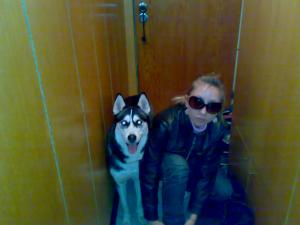 Прикачена снимка