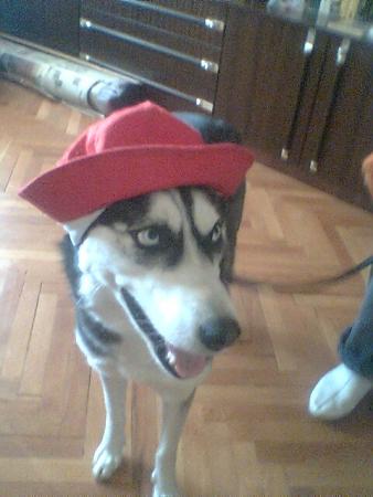 Прикачена снимка