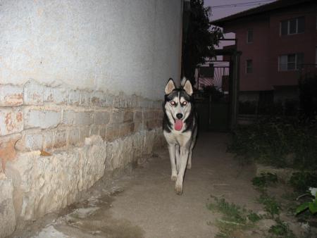 Прикачена снимка